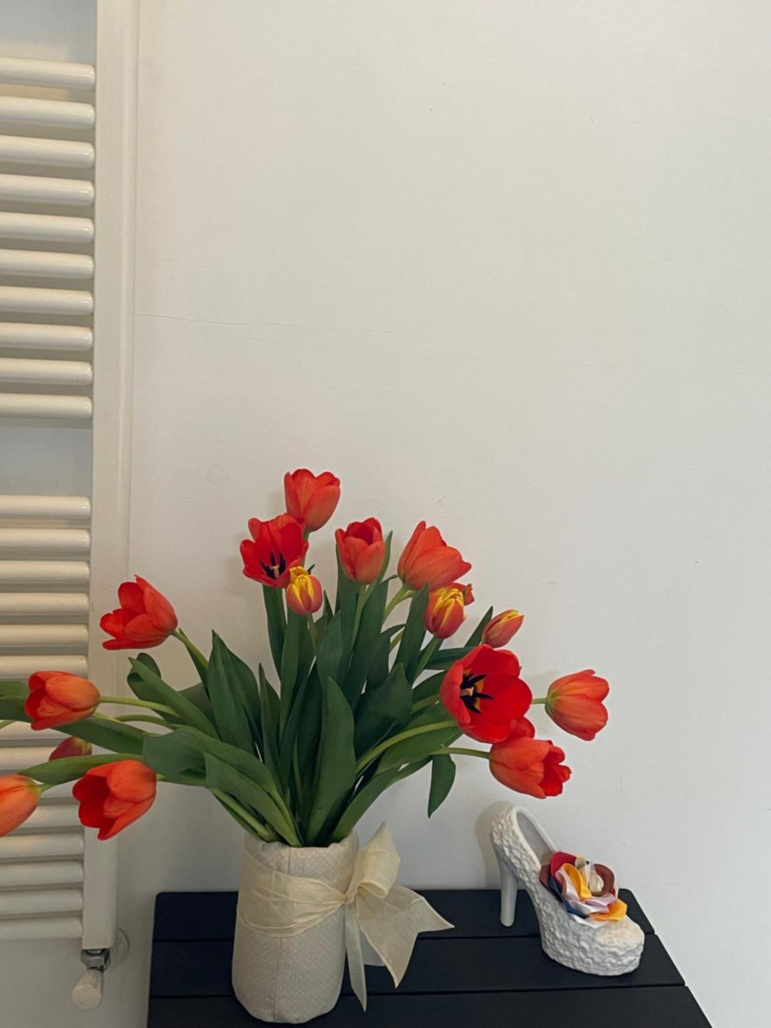 B&B Bovianum Boiano Buitenkant foto